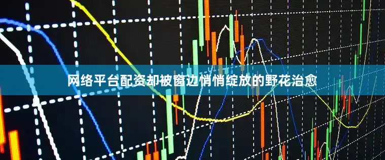 网络平台配资却被窗边悄悄绽放的野花治愈