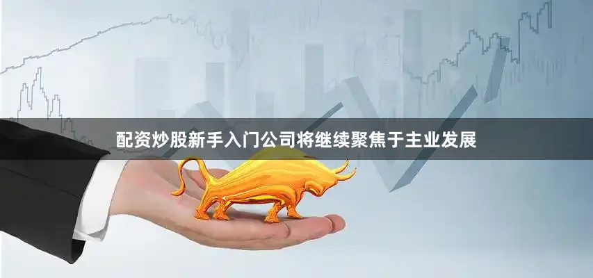 配资炒股新手入门公司将继续聚焦于主业发展