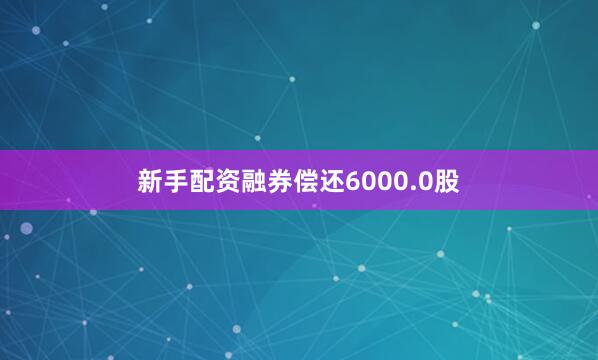新手配资融券偿还6000.0股