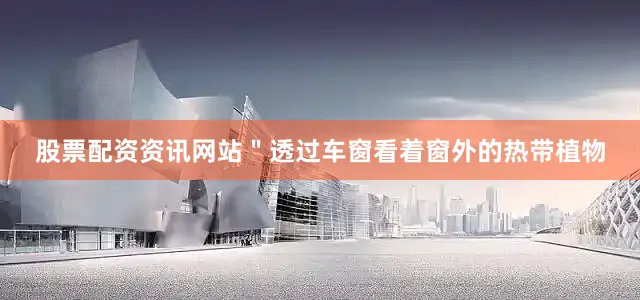 股票配资资讯网站＂透过车窗看着窗外的热带植物