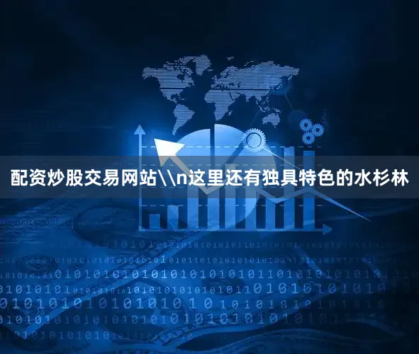 配资炒股交易网站\n这里还有独具特色的水杉林