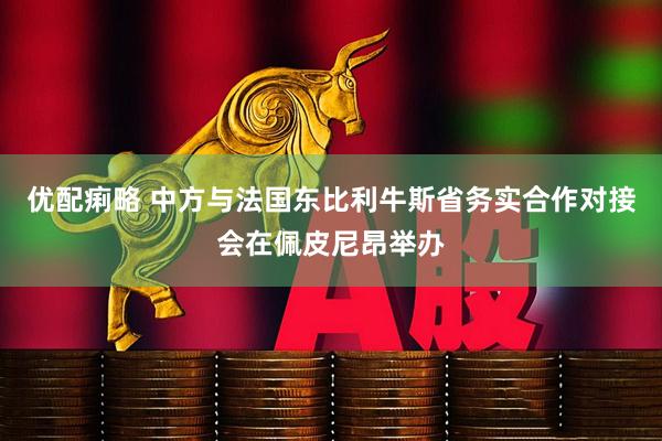优配痢略 中方与法国东比利牛斯省务实合作对接会在佩皮尼昂举办