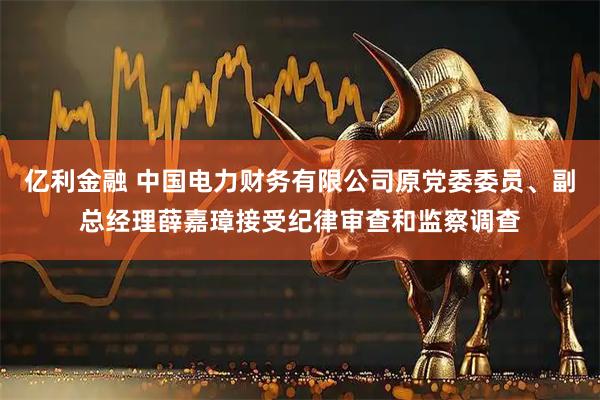 亿利金融 中国电力财务有限公司原党委委员、副总经理薛嘉璋接受纪律审查和监察调查