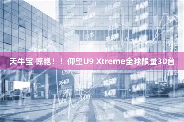 天牛宝 惊艳！！仰望U9 Xtreme全球限量30台